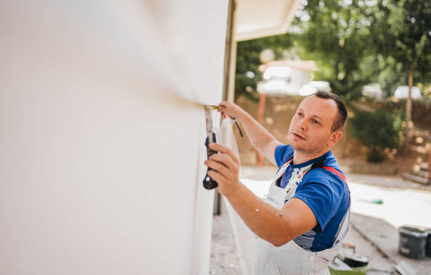 Best Attic Insulation Installation  in Rock Falls, IL